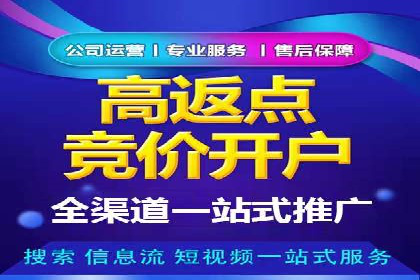 百度推广技巧：案例解析