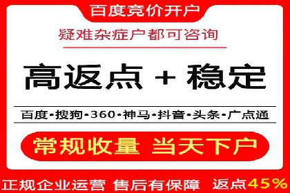 百度竞价排名案例分享：广告投放的技巧与误区